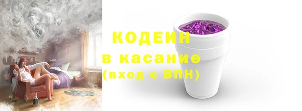 хмурый Нея