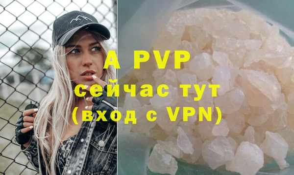 хмурый Нея