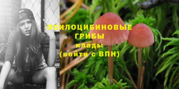 прущая мука Нефтегорск