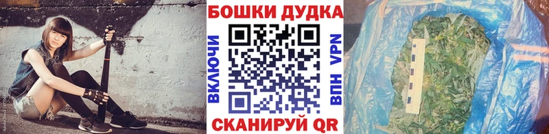 Каннабис сатива где купить наркоту Кашира
